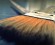 brush-57527-940x545